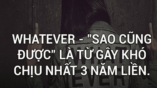 whatever-sao-cung-duoc